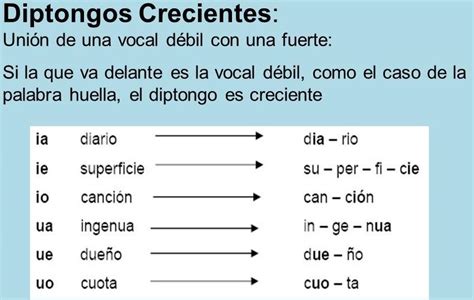 Ejemplos De Diptongo Creciente - arbol