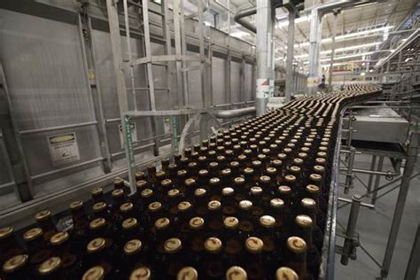 AB InBev Uses AI to Assess Beer Quality, Creditworthiness of ...