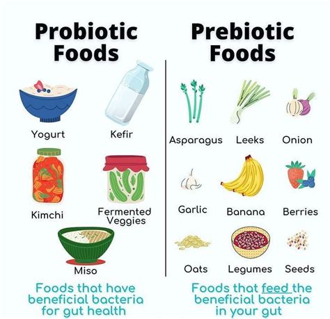 Probiotic Foods & Prebiotic Foods