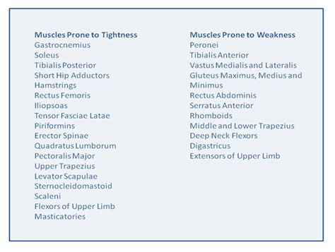 What are Tonic and Phasic Muscles?