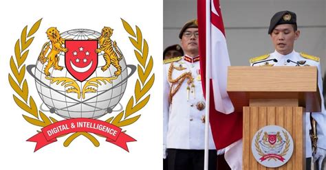 SAF establishes Digital & Intelligence Service, Brigadier General Lee ...