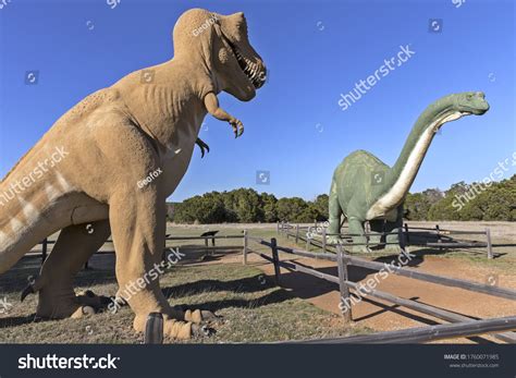 307 Dinosaur valley state park Images, Stock Photos & Vectors ...