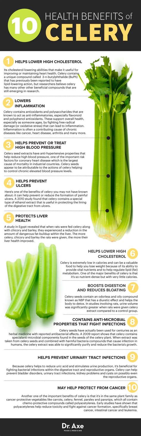 Benefits Of Celery Juice Dr Axe - health benefits