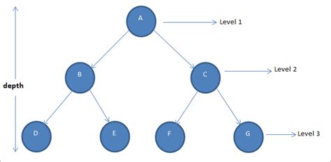 Binary Tree Data Structure In C++