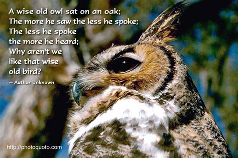 Owl Wisdom Quotes. QuotesGram