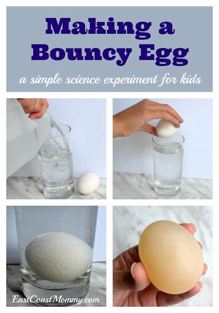 East Coast Mommy: Making a Bouncy Egg... a fun and simple science ...