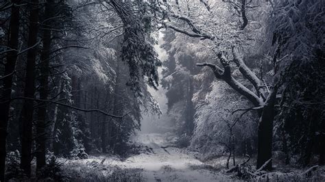 88 Desktop Wallpaper Hd Winter - MyWeb