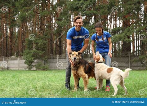 Volunteers with Homeless Dogs at Animal Shelter Stock Image - Image of ...