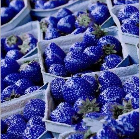 Purple Watermelon Seeds (With images) | Blue strawberry, Strawberry ...