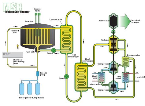 Safety Challenges of Molten Salt Reactors