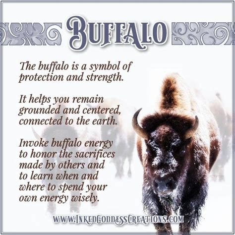 ~ Buffalo ~ The buffalo is a symbol of protection and strength. It ...