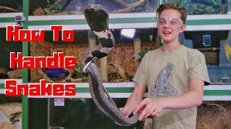 How To Properly Hold A Snake - YouTube