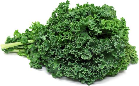 Organic Kale Green Information and Facts