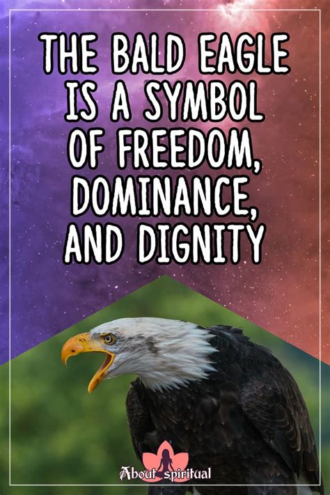 Eagle Symbolism | Eagle symbol, Animal symbolism, Power animal