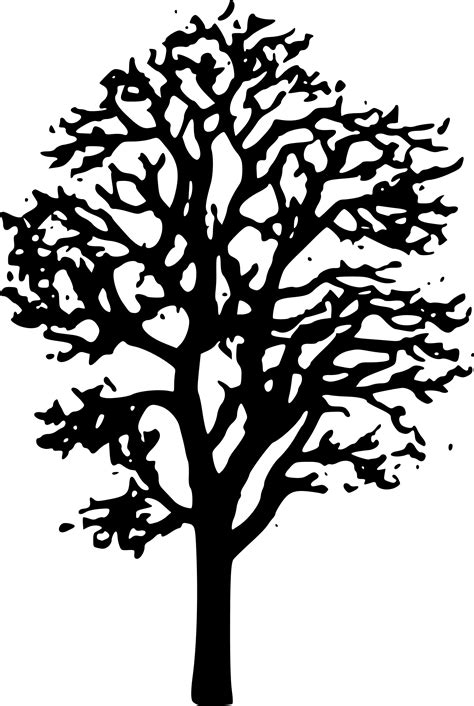 Clipart - Maple Tree