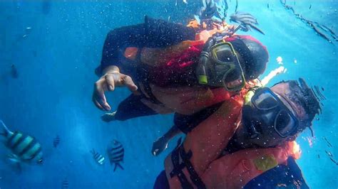 Snorkeling in Tioman Island: A Malaysian EcoParadise - Ecophiles