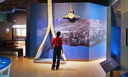 Evening Museum Visit - Cox Science Center | Groupon