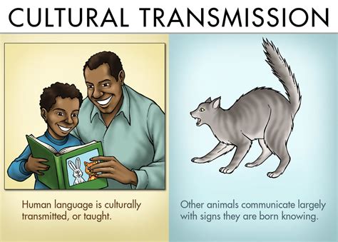 Differences Between Animal and Human Communication - Owlcation