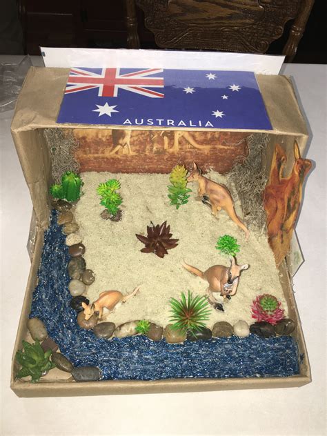 Kangaroo habitat school project – Artofit