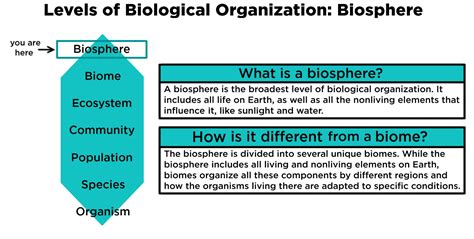 Biosphere — Definition & Importance - Expii