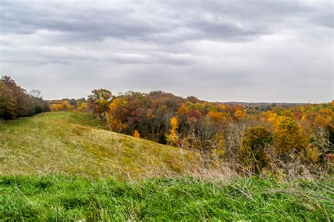 Why You Should Improve Your Whitetail Habitat - North American Whitetail