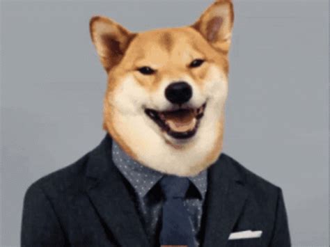 Doge Gun GIF - Doge Dog Gun - Discover & Share GIFs