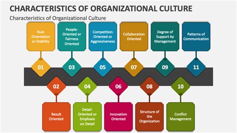 Characteristics of Organizational Culture PowerPoint and Google Slides Template - PPT Slides