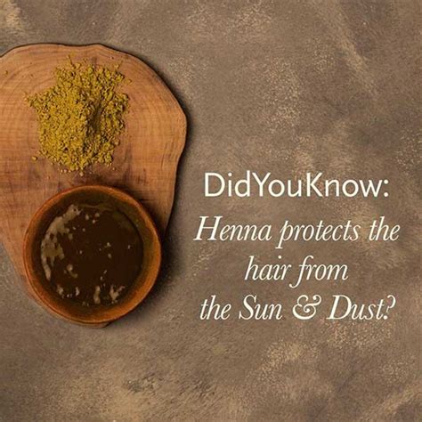 Know the Ultimate Benefits of Henna For Hair - Kama Ayurveda