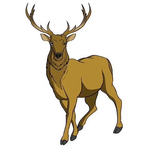 How to Draw an Elk - Really Easy Drawing Tutorial