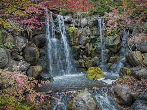 The Ultimate Guide To Anderson Japanese Gardens | Travel The Food For ...