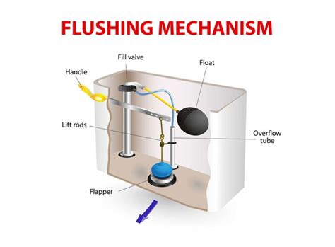 What To Do If Your Toilet Is Not Flushing Properly | Checkatrade