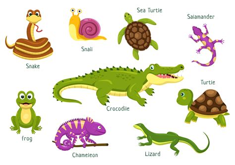 Set of Animal Reptile Template Hand Drawn Cartoon Flat Illustration ...