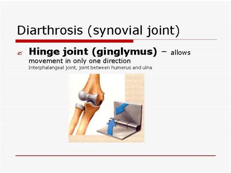 Types of Joints and Bursae Ana Soldo 20132014