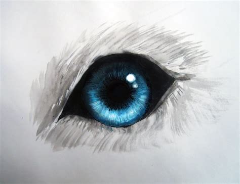 Wolf eye by Izuoka on DeviantArt