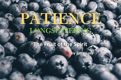 The Fruit of the Spirit: Patience : The Pneuma Review