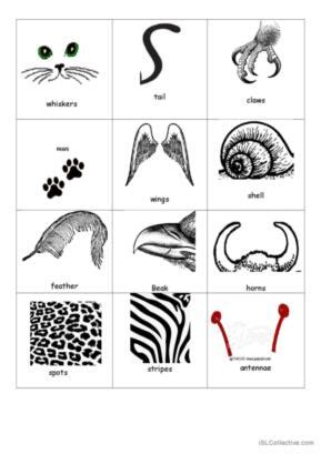 85 Animals body parts English ESL worksheets pdf & doc