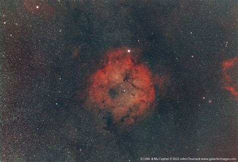 IC-1396 & Mu Cephei - Samyang 135mm lens - Galactic Images