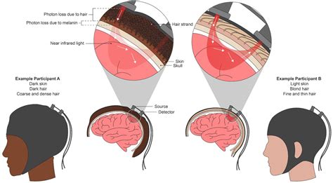 Frontiers | Demographic reporting and phenotypic exclusion in fNIRS