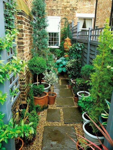 Backyard Container Garden Ideas | Home and Garden Reference