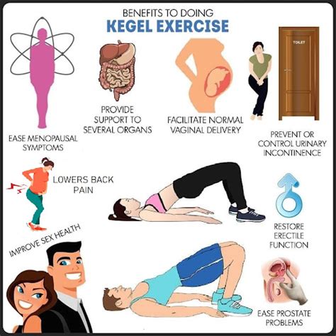 Your Guide to Kegel and Other Pelvic Floor Exercises - Pratisandhi