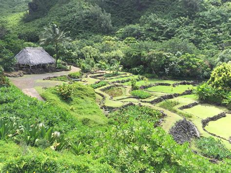 Limahuli Garden, Kauai - Kauai Travel Blog