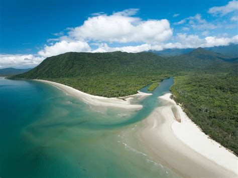 Daintree Rainforest