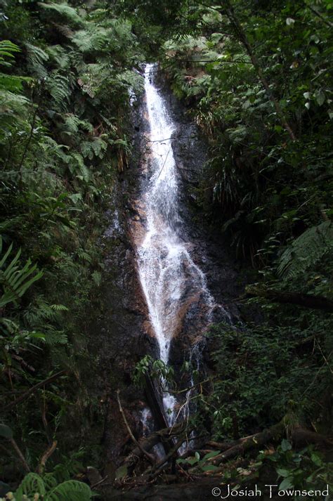 cloud forest waterfall | Upper Quebrada Varsovia, around 155… | Flickr