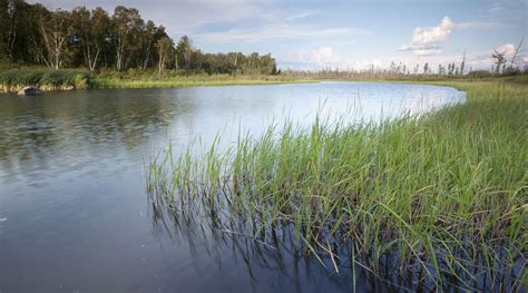 New Natural Heritage Conservation Program to Protect Wetlands - The ...