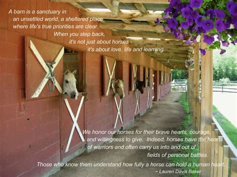 Barn Horse Quotes. QuotesGram