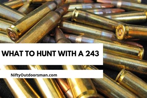 What Can You Hunt With a 243 - Nifty Outdoorsman