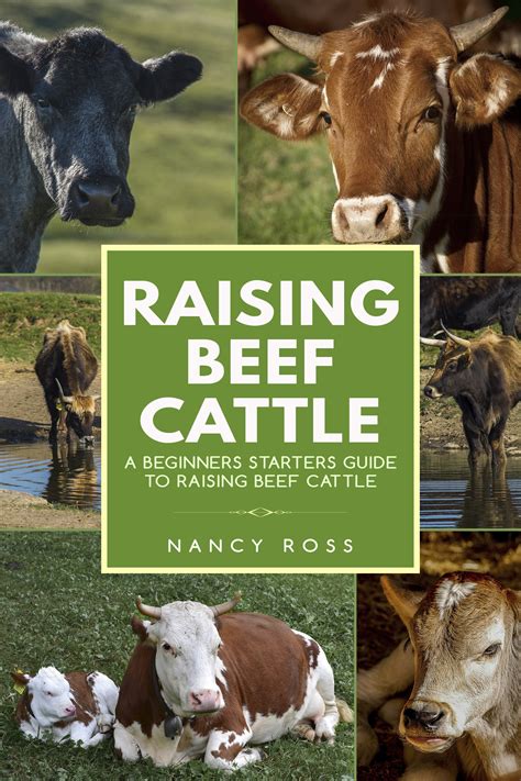 Babelcube – Raising beef cattle: a beginner’s starters guide to raising ...