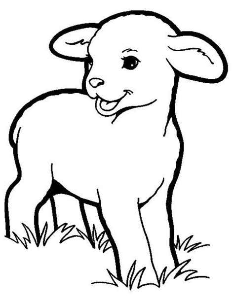 Printable Lamb Coloring Pages