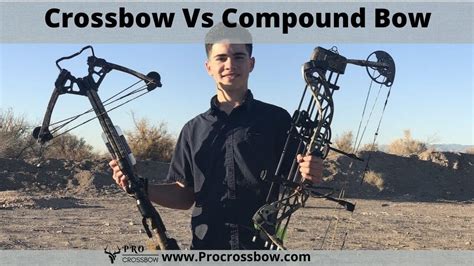 Crossbow Vs Compound Bow | Which Is Best For Professional Hunters