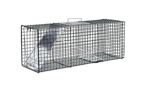 Humane Pest and Rodent Trap | Groupon Goods